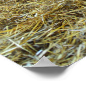 Poster Chevaux dans une écurie (Coin)