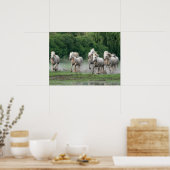 Poster Chevaux de Camargue courant dans l'eau (Cuisine)