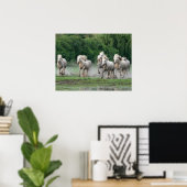 Poster Chevaux de Camargue courant dans l'eau (Bureau à domicile)