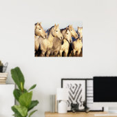 Poster Chevaux de Camargue (Eguus caballus) (Bureau à domicile)