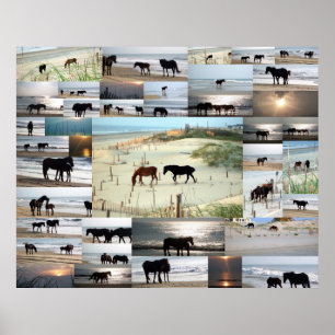 Poster Chevaux de Carova