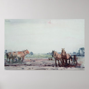 Poster Chevaux de charrue