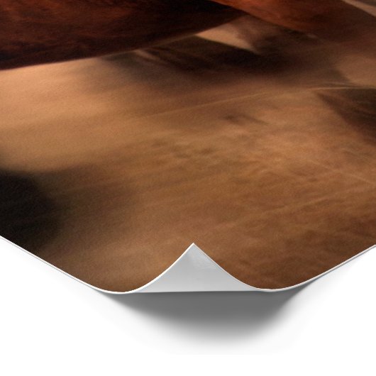 Poster Chevaux de course (Coin)