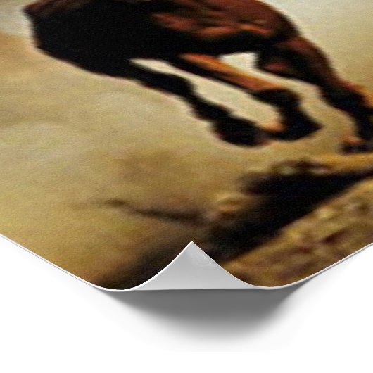 Poster Chevaux de course (Coin)