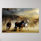 Poster Chevaux de course (Devant)
