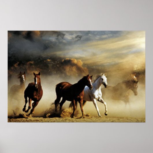 Poster Chevaux de course (Devant)