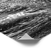 Poster Chevaux de course blanc noir de liberté (Coin)