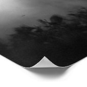 Poster Chevaux de course blanc noir de liberté (Coin)