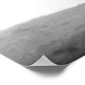 Poster Chevaux de course blanc noir de liberté (Coin)