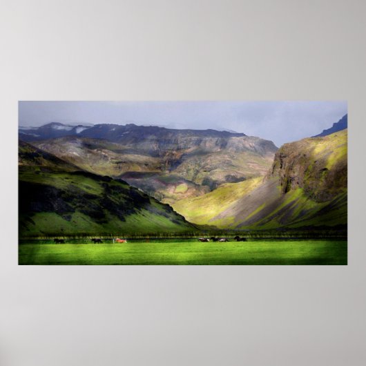 Poster Chevaux de course Islande (Devant)