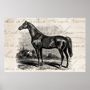 Poster Chevaux de course vintages des années 1800 Retro T