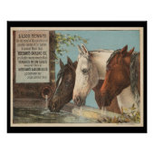 Poster Chevaux de ferme Ephémère de la publicité de l'eau (Devant)