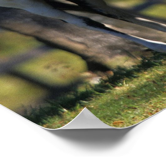 Poster Chevaux de peinture (Coin)