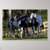 Poster Chevaux de peinture (Devant)