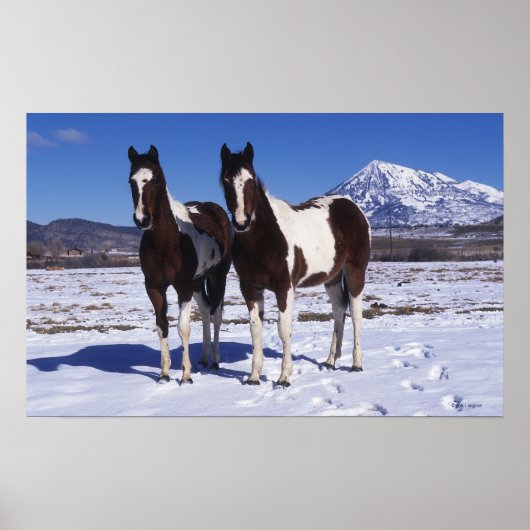 Poster Chevaux de peinture debout dans la neige (Devant)