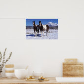 Poster Chevaux de peinture debout dans la neige (Cuisine)