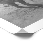 Poster Chevaux de sentiers terrestres Alaska 1908 (Coin)