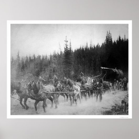 Poster Chevaux de sentiers terrestres Alaska 1908 (Devant)