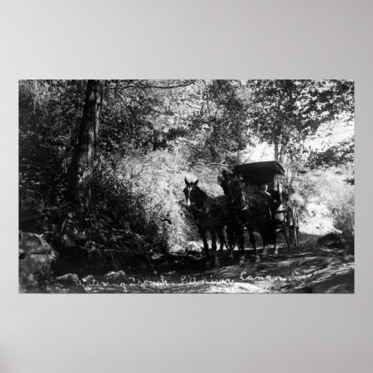 Poster Chevaux de transport en panne (Devant)