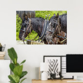 Poster Chevaux de travail étonnants dans le harnais (Bureau à domicile)