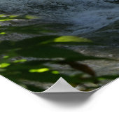 Poster Chevaux d'Imaginaire : Cascade (Coin)