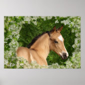 Poster Chevaux d'Imaginaire : Fleurs (Devant)