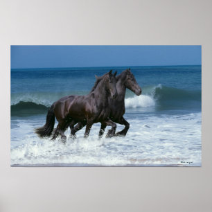 Poster Chevaux d'Imaginaire : Friesians & Sea