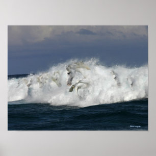 Poster Chevaux d'Imaginaire : Mer