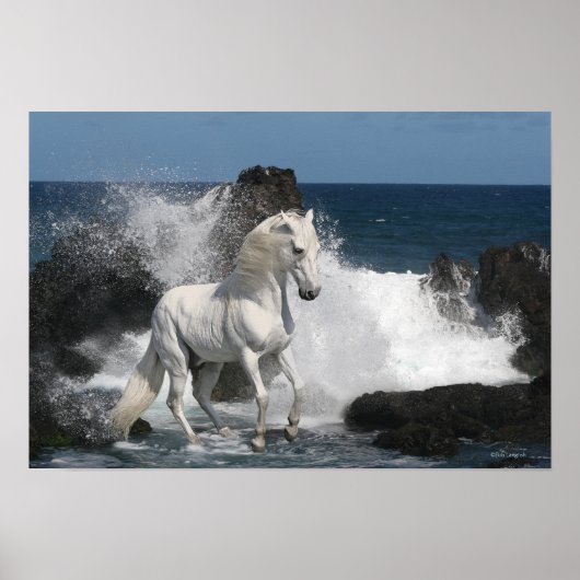 Poster Chevaux d'Imaginaire : Mer du Sud (Devant)