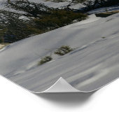 Poster Chevaux d'Imaginaire : Roi de neige (Coin)