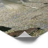 Poster Chevaux d'Imaginaire : Seigneur du lac (Coin)