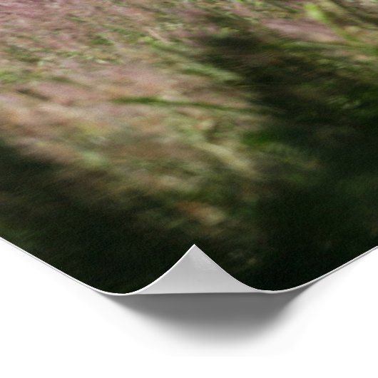 Poster Chevaux d'Imaginaire : Spring Gallop (Coin)