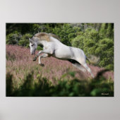 Poster Chevaux d'Imaginaire : Spring Gallop (Devant)