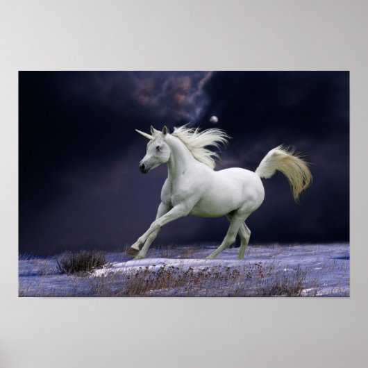 Poster Chevaux d'Imaginaire : Unicorne (Devant)