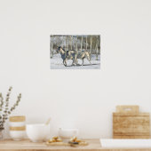 Poster Chevaux d'Imaginaire : Wonderland d'hiver (Cuisine)