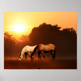 Poster Chevaux du lever du soleil