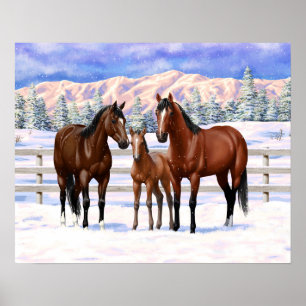 Poster Chevaux Du Quartier De La Baie Brown En Neige