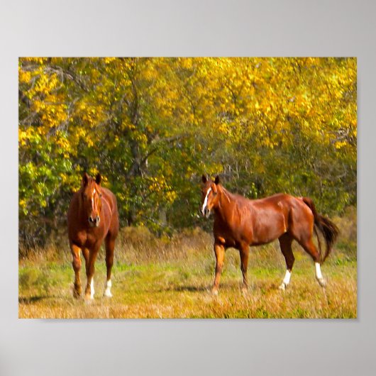 Poster Chevaux en automne (Devant)