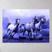 Poster Chevaux en Bleu Night (Devant)