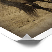 Poster Chevaux en marche (Coin)