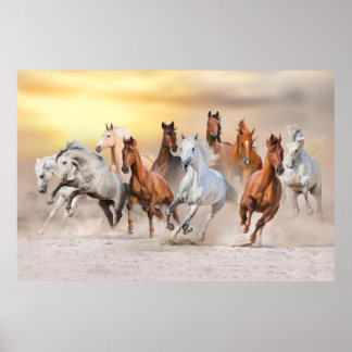 Poster Chevaux en marche