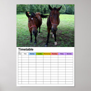 Poster Chevaux en pâture / Horaire