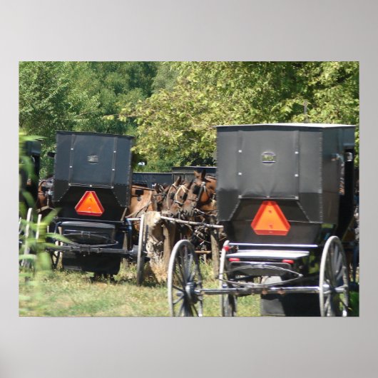 Poster Chevaux et buggies Amish (Devant)