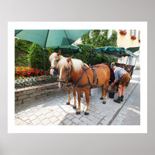 Poster Chevaux et calèche à St Wolfgang (Devant)