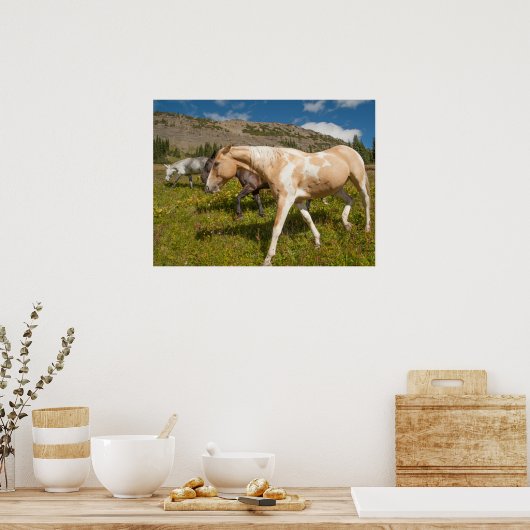 Poster Chevaux et Mules (Cuisine)
