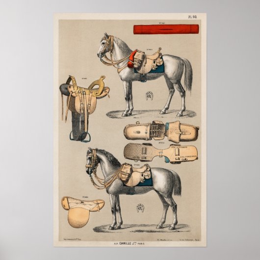 Poster Chevaux et selles (Devant)