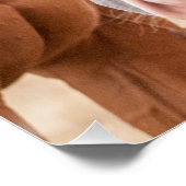 Poster Chevaux étourdissant dans un pâturage (Coin)