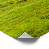 Poster Chevaux hawaïens, Hokulei Peak, Kauai, Hawaii (Coin)