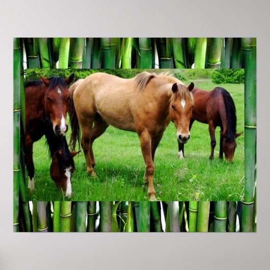 POSTER CHEVAUX HEUREUX (Devant)