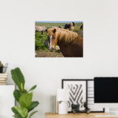 Poster Chevaux islandais dans le nord-est de l'Islande (Bureau à domicile)